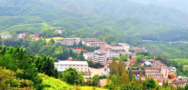 1598323251502033483.png 2-2.png