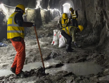 1771993252599066971.png 6-1.png